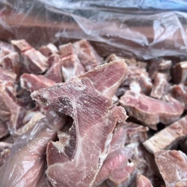 多肉龙骨块