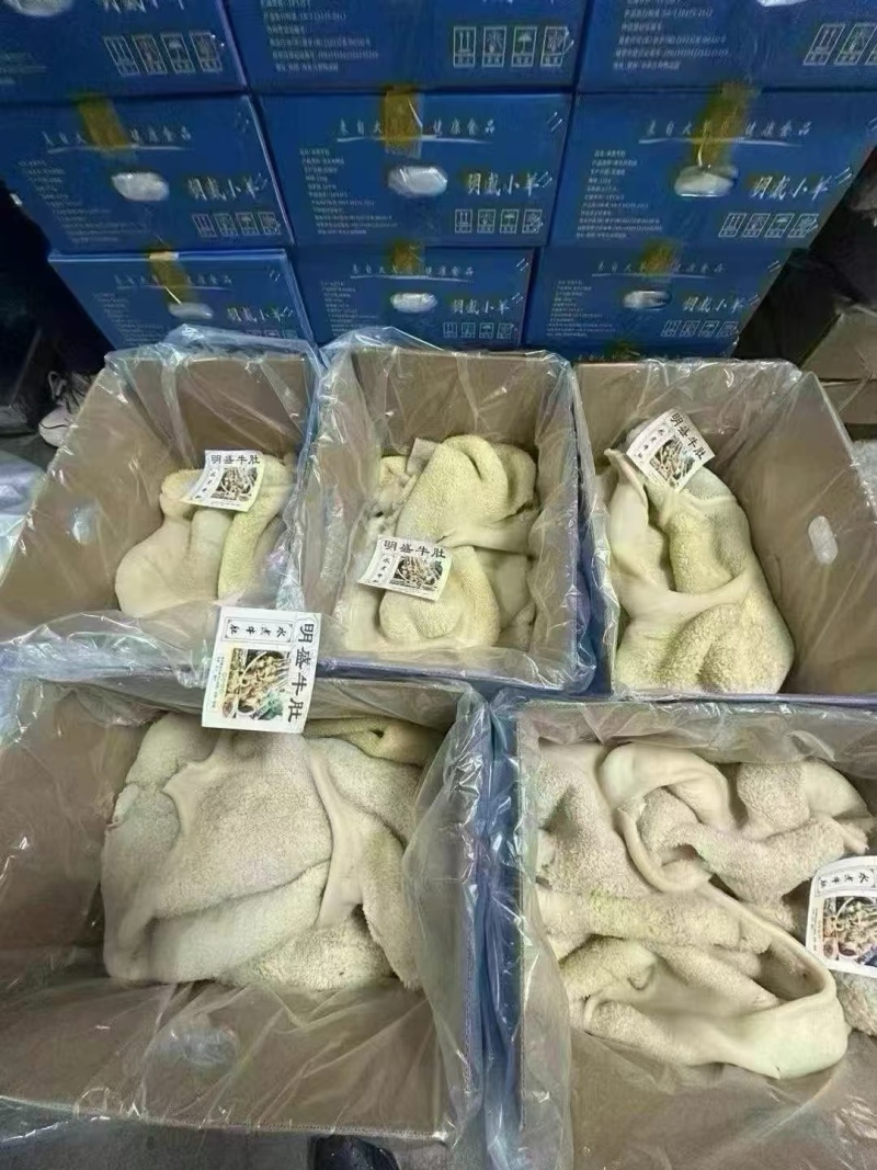 牛肚