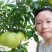 红心蜜柚