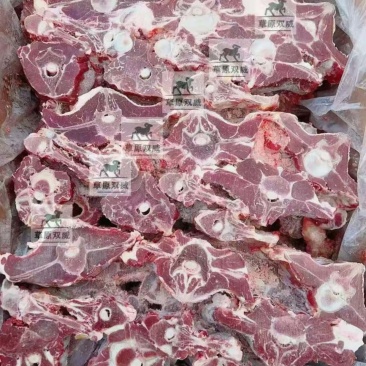 精品满肉羊蝎子内蒙货纯干没有膻味一件也是批发价格