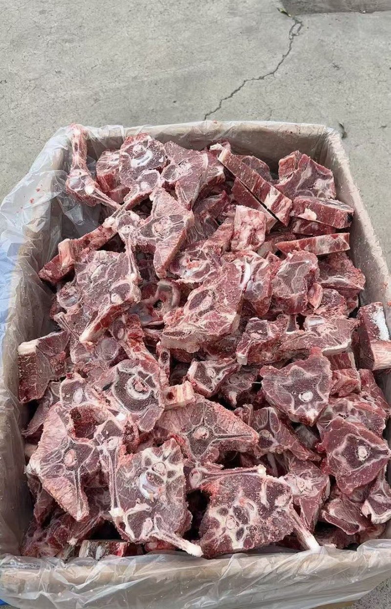 精品满肉羊蝎子内蒙货纯干没有膻味一件也是批发价格