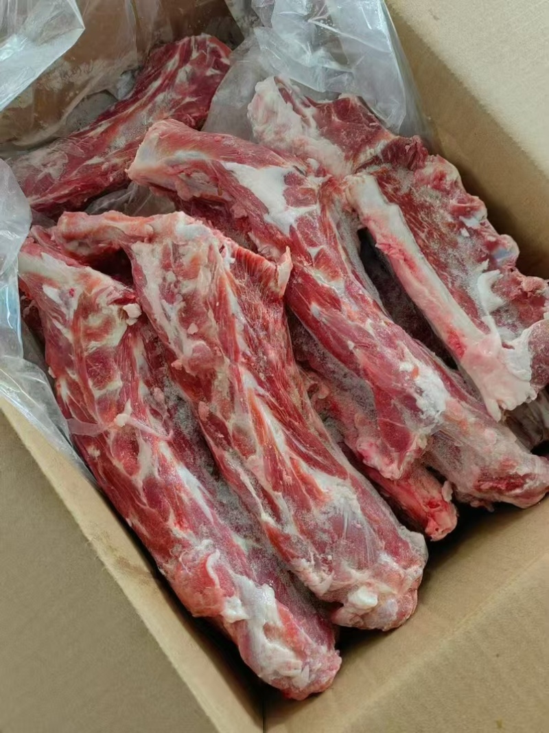 精品满肉羊蝎子内蒙货纯干没有膻味一件也是批发价格