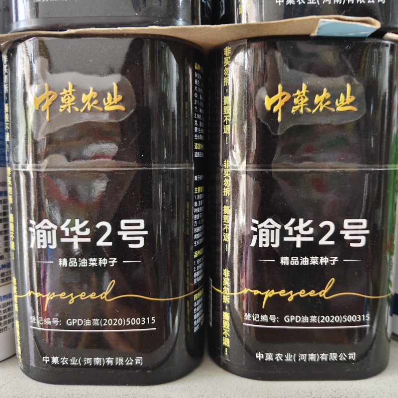 渝华2号油菜籽种子荚长抗病毒病抗倒性强农业科学院选育