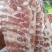 精修满肉猪精肋排一件20斤**日期肉多新鲜价格美丽