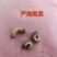 活体金龟子幼虫/幼虫/特殊昆虫/湖北随州昆虫