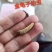 活体金龟子幼虫/幼虫/特殊昆虫/湖北随州昆虫