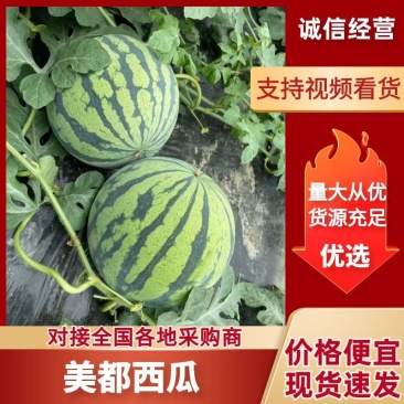 【精品西瓜】夏邑美都西瓜产地直发支持一件代发保质保量