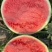 【精品西瓜】夏邑美都西瓜产地直发支持一件代发保质保量