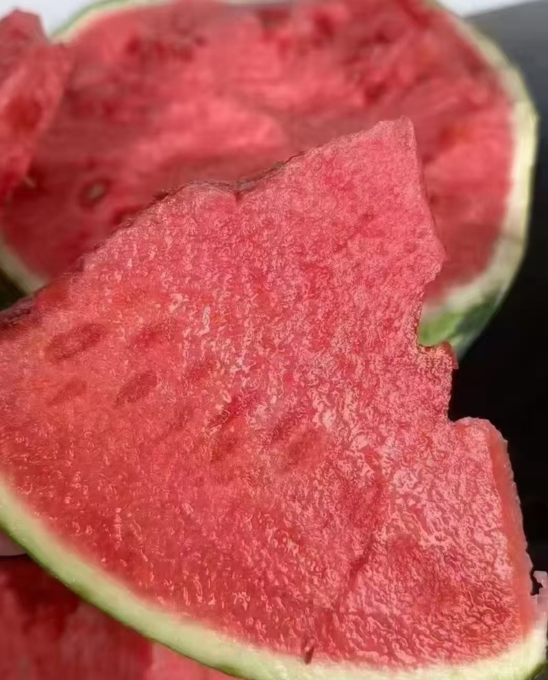 【精品西瓜】夏邑美都西瓜产地直发支持一件代发保质保量