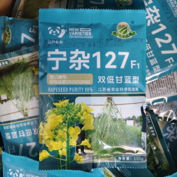 双低甘蓝型油菜种子宁杂127油菜籽种子耐寒抗倒含油量高
