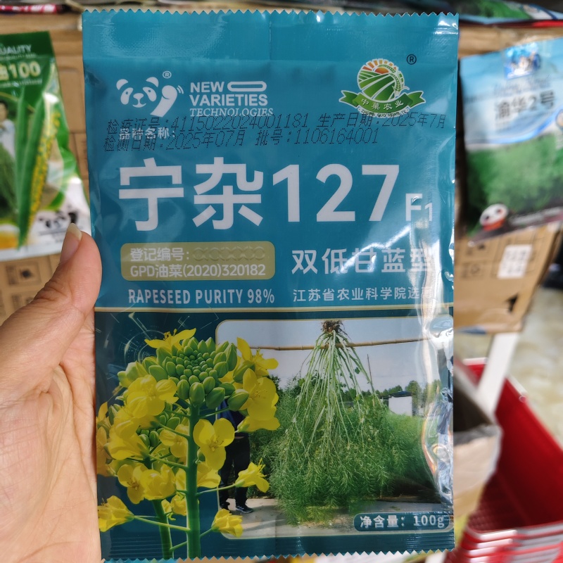 双低甘蓝型油菜种子宁杂127油菜籽种子耐寒抗倒含油量高