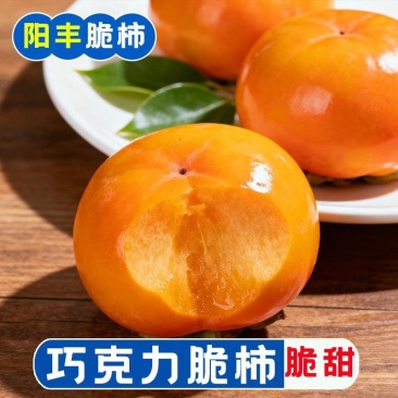 阳丰脆甜柿子，产地一手货源，量大优惠，欢迎新老客户前来