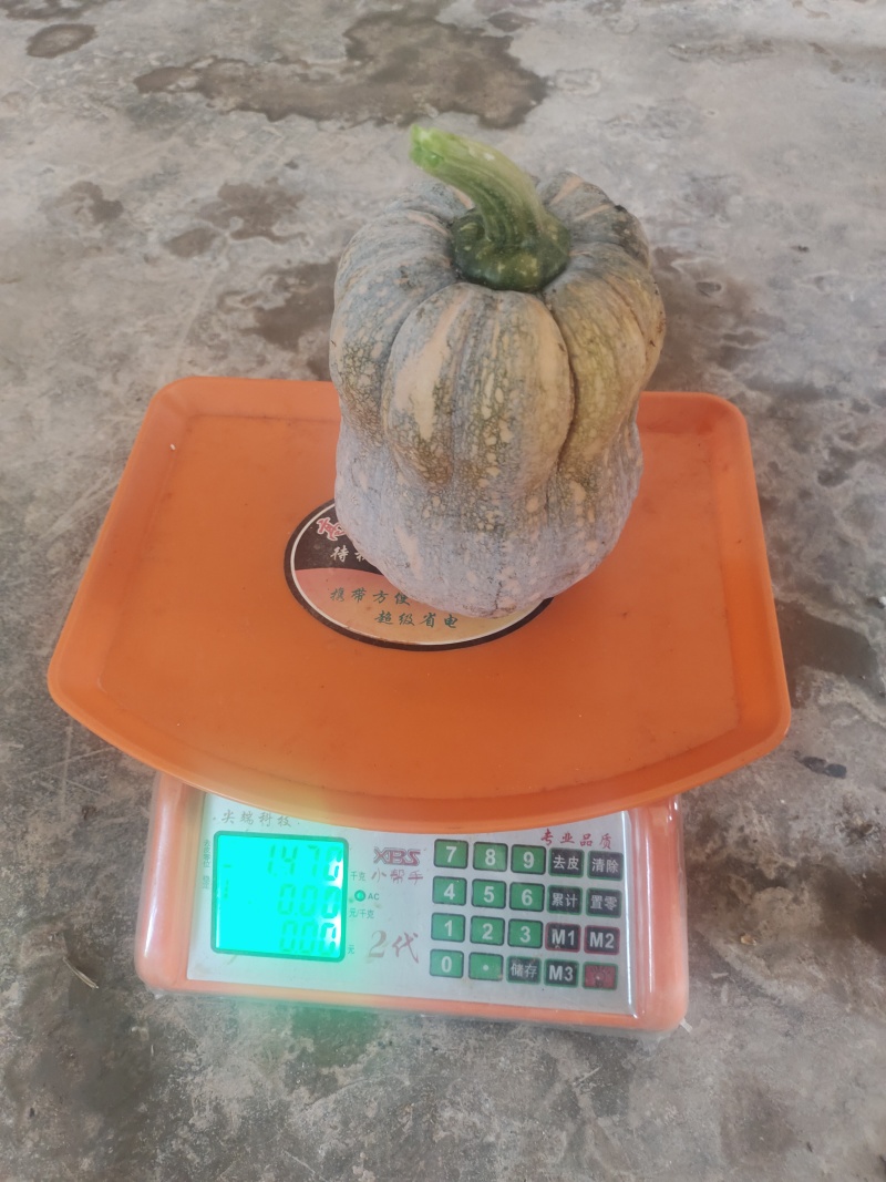 金丽花生南瓜