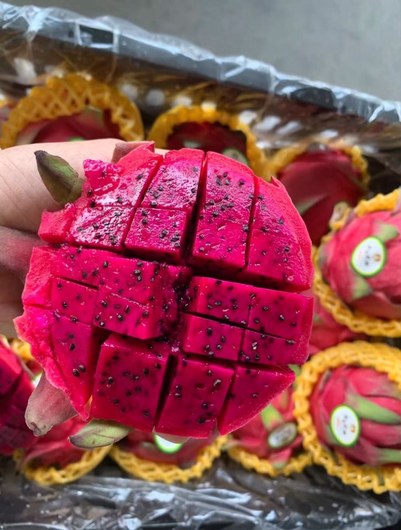红心火龙果