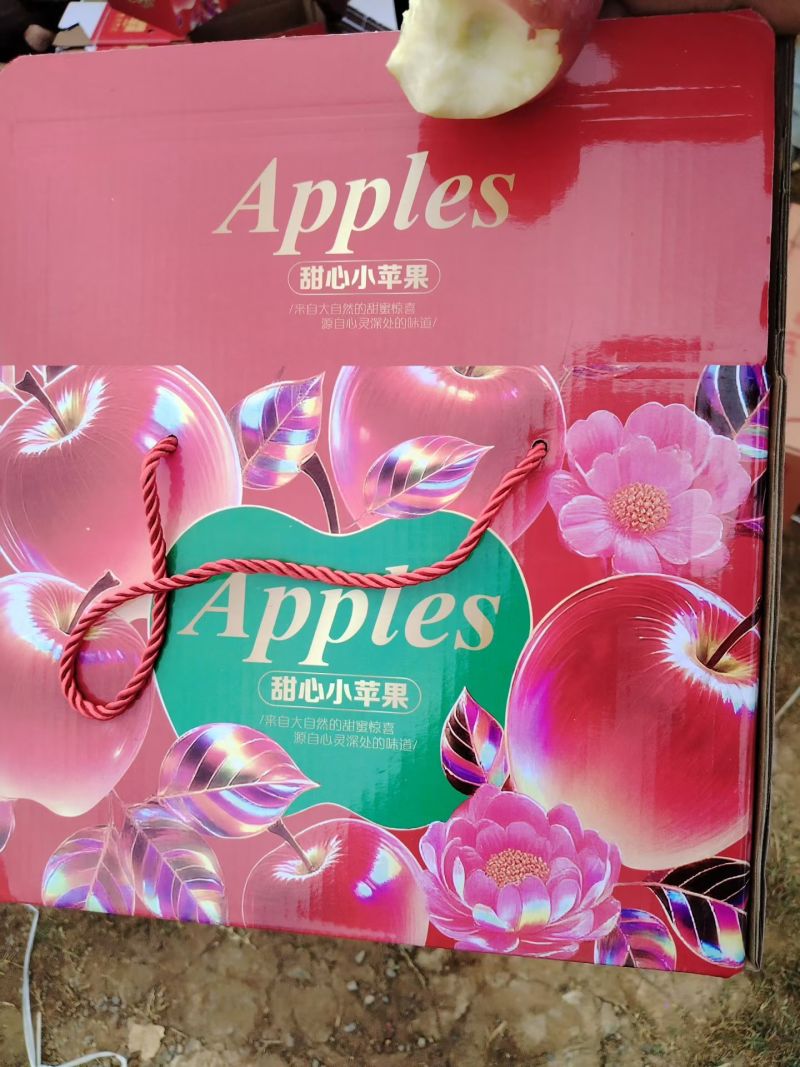 大凉山盐源苹果
