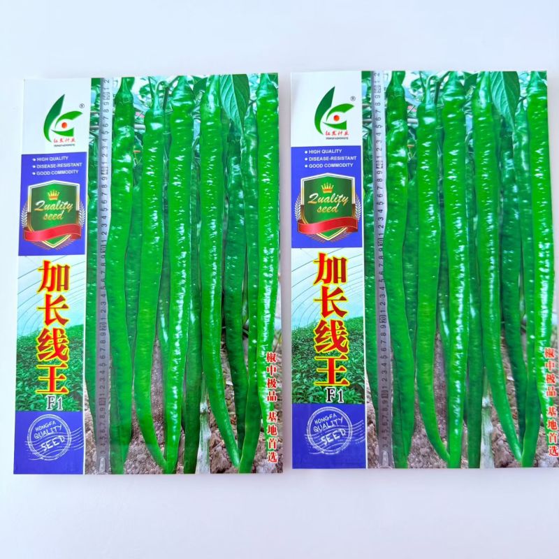 加长线王1000粒线椒