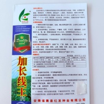 加长线王1000粒线椒