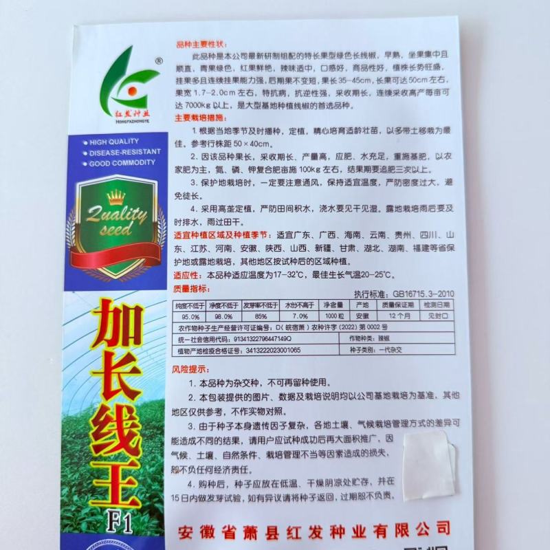 加长线王1000粒线椒