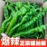 中研螺12号全螺丝椒种子中早熟翠绿色辣味适中果肉无渣抗病