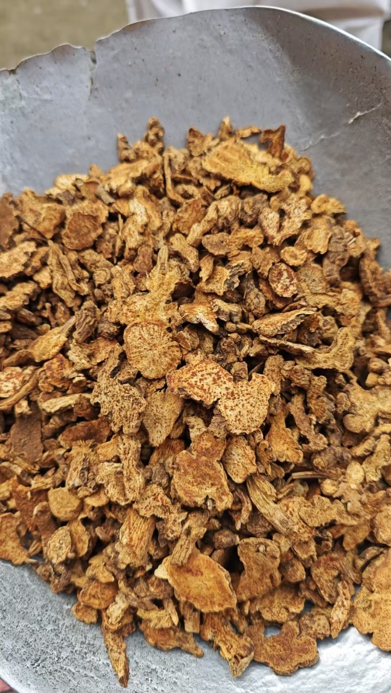 苍术各种规格苍术气味浓无硫质量保证量大从优