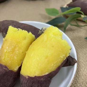 云南红土红瑶蜜薯千亩基地种植五年经验正宗红瑶市场认可度高