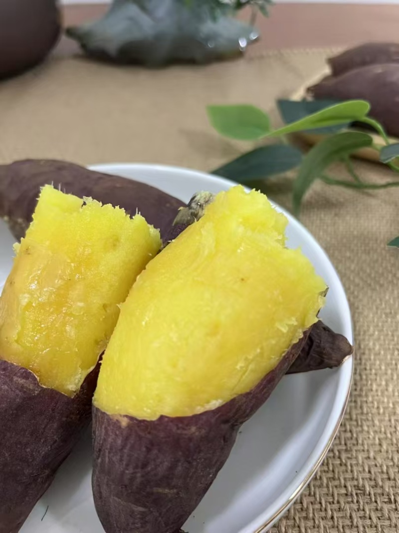 云南红土红瑶蜜薯千亩基地种植五年经验正宗红瑶市场认可度高