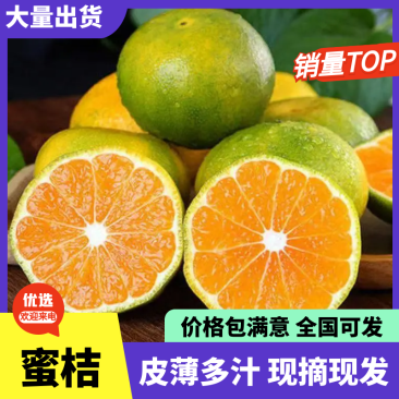 湖北宜昌特早蜜桔大量上市产地现摘现发可果园订货