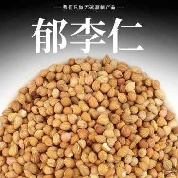 郁里仁正品中药材经营合作共赢诚信经营郁李仁