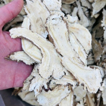 当归头精选心片甘肃当归头片规格齐全量大从优，全年发货