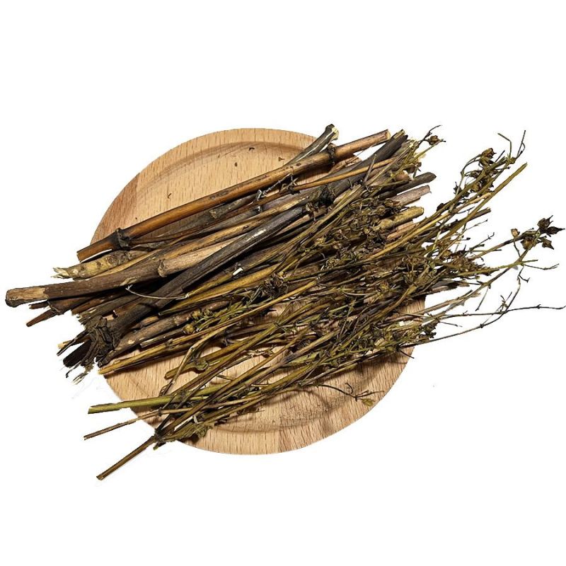 藏茵陈，西藏茵陈