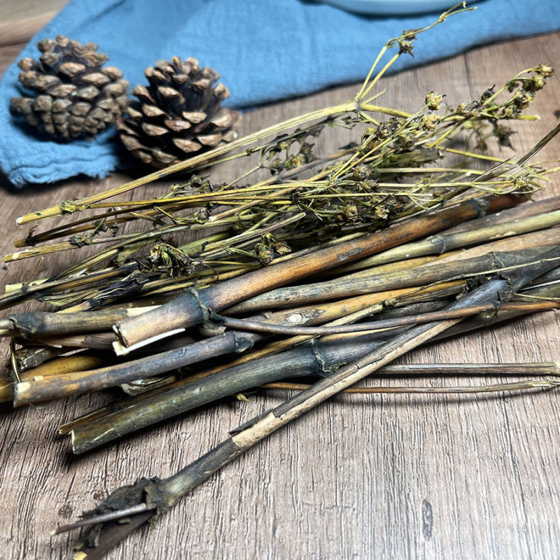 藏茵陈，西藏茵陈