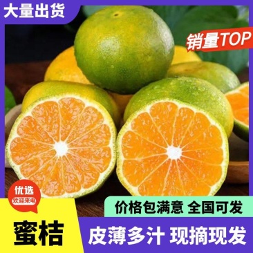 【精品蜜桔】宜昌万亩果园市场批发电商商超橘子保质保量
