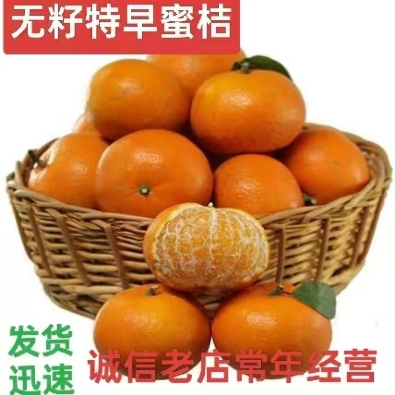 宜昌高山蜜桔以质论价可视频看货精品橘子品种齐全