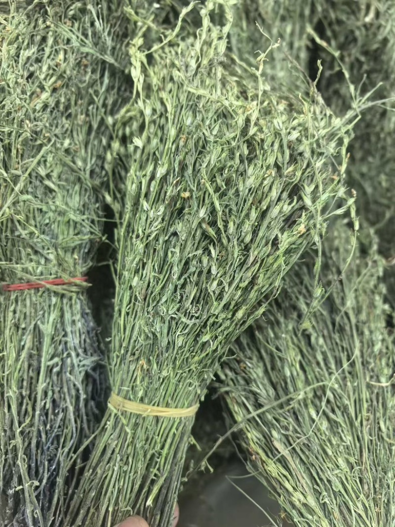 独脚金2025年新货晒干独脚柑柑积草孩儿草青绿选货