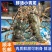 鲜活小青龙，大小规格齐全