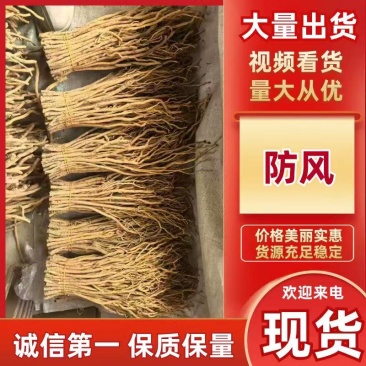 原产地关防风电商甘肃特产批发去头防风地摊