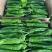 1薄皮椒芜湖椒【新优】欢迎致电洽谈价格【以质论价】保证质量