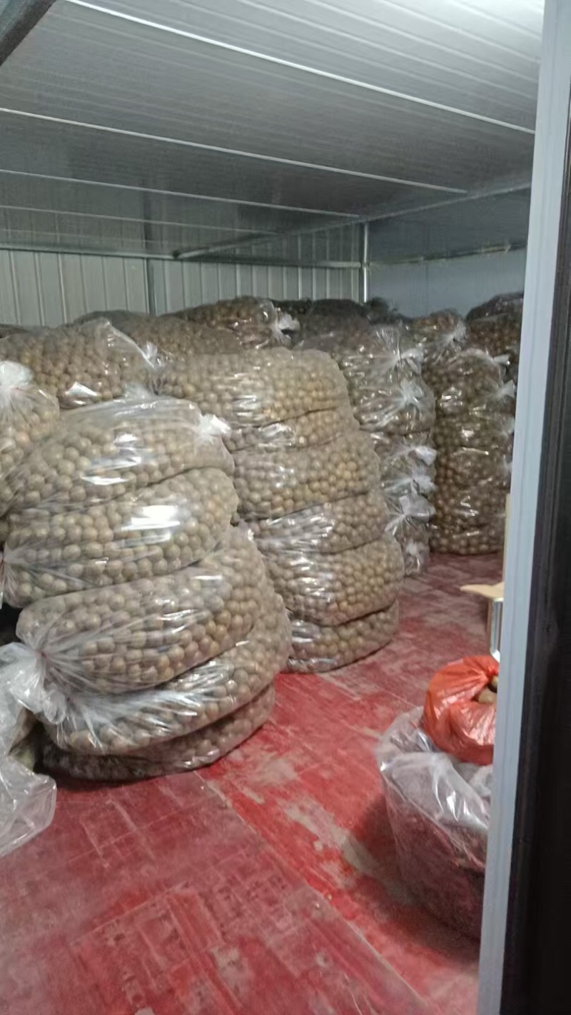 罗汉果.原产地发货广西桂林特产低温电烤罗汉果批发零售