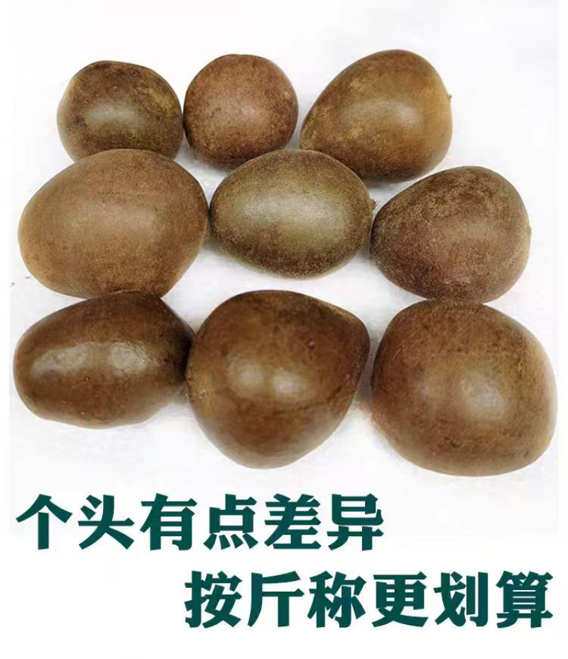 罗汉果.原产地发货广西桂林特产低温电烤罗汉果批发零售