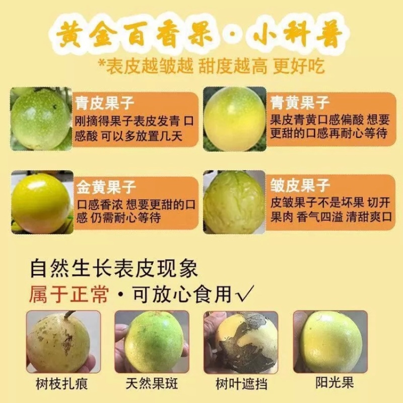 黄金百香果高山基地原产地广西桂林发货批发现货，