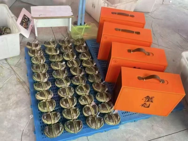 大闸蟹