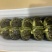 大闸蟹