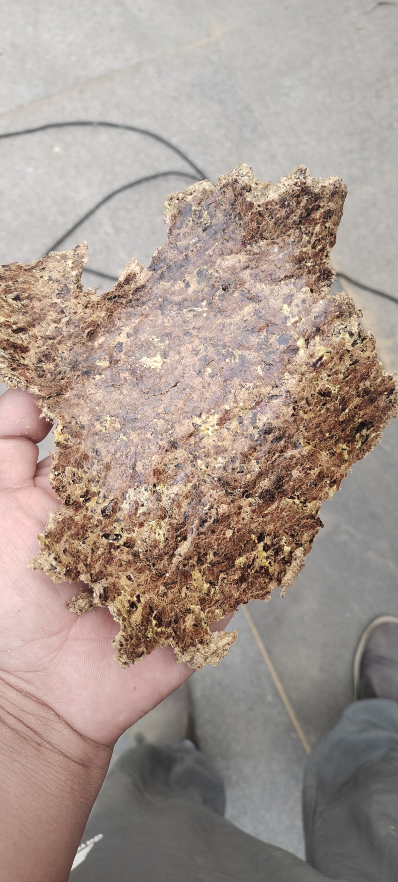 保纯新疆棉籽饼！喂牛羊育肥必备！批发