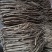 现提供甘肃核心产区直采当归党参源头把控品质