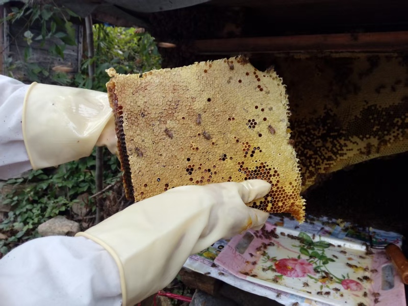 《全国包邮》正宗土蜂蜜湖北基地直发对接商超团购一件代发