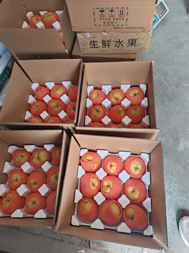 烟台丑梨