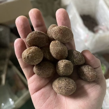 甘草橄榄