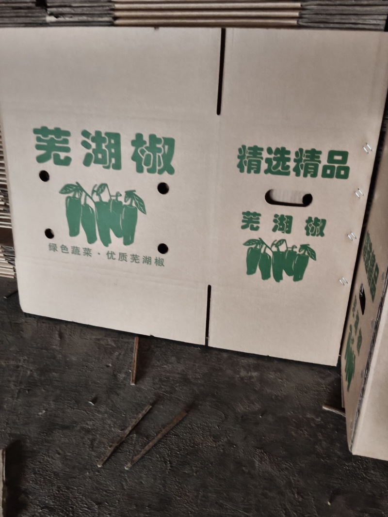 河南周口沈丘县各种鲜辣椒基地真供