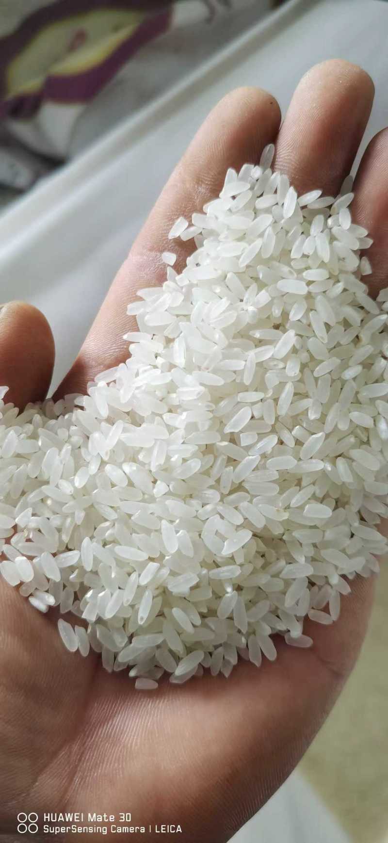 大米/稻花香大米/黑龙江新米上市/对接全国采购商