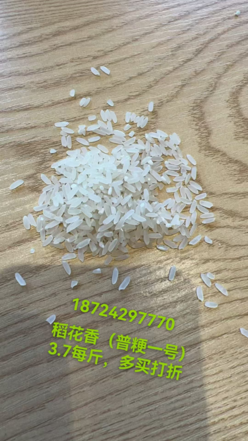 大米/稻花香大米/黑龙江新米上市/对接全国采购商
